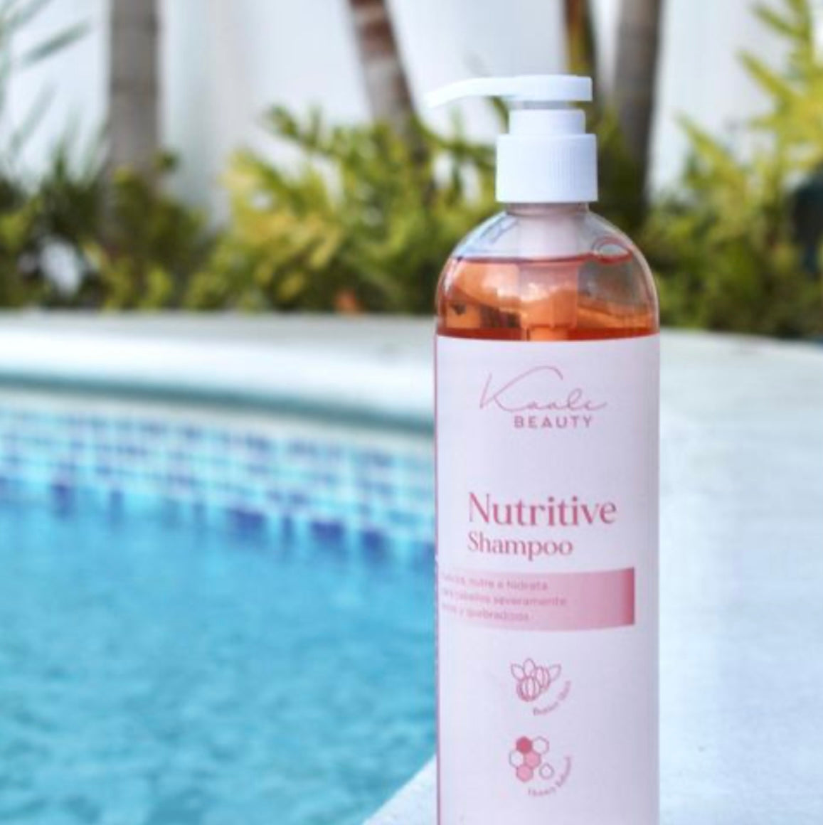 Nutritive shampoo kaale beauty