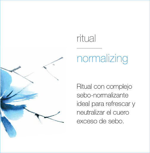 Normalizing Shampoo